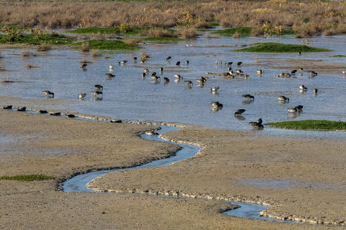 Konya merkezi sulayan kaynakta hareketlilik başladı 7